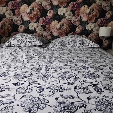 Apparemment 3 Pieces Pres De Centre-Ville Selestat Ngoại thất bức ảnh